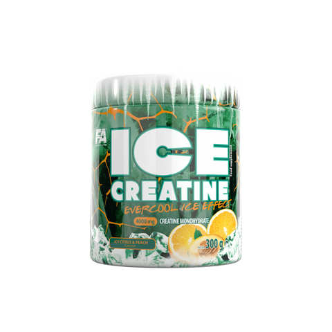 FA ICE CREATINE 300 G 60 SERVINGS – MSZ Nutrition.com