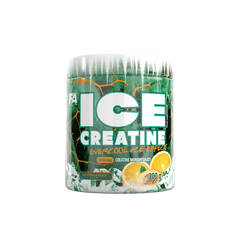 FA ICE CREATINE 300 G 60 SERVINGS