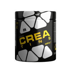 FA NUTRITION CREATINE 300g